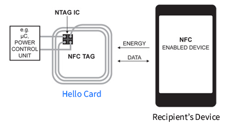 nfc schema